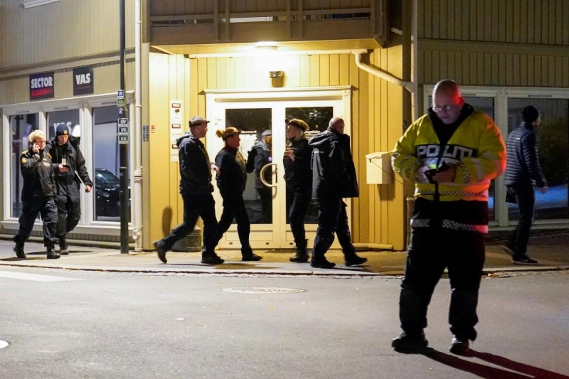 В Норвегии убивший пятерых человек из лука стрелок недавно принял ислам (видео)