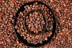 Кофе свежей обжарки: в чем его основные преимущества