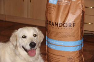 Grandorf корм для собак: линейка, преимущества приобретения