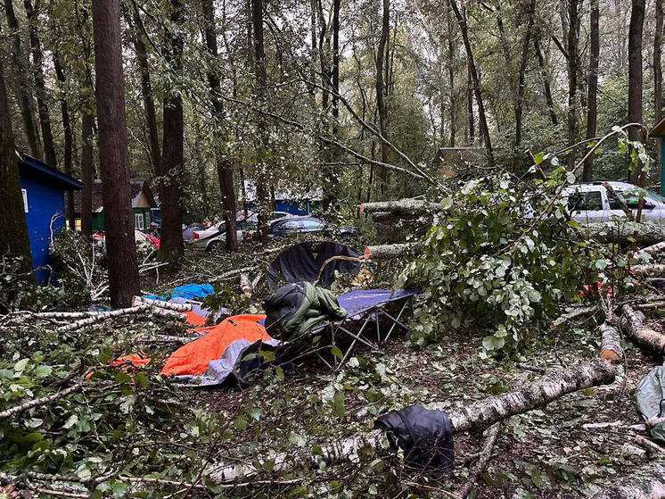 «Лес осыпался как карточный домик»: ураган убил гостей приокской турбазы