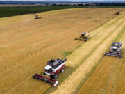 Патрушев назвал уборочную кампанию одним из ответственных этапов сельхозотрасли