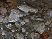 Что можно, а что нельзя делать 17 ноября на «Ерёму — сиди дома»