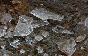 Что можно, а что нельзя делать 17 ноября на «Ерёму — сиди дома»