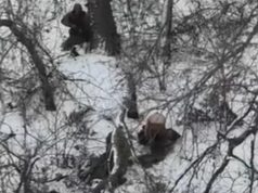 Россияне расстреляли двух пленных на Донетчине