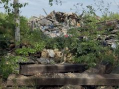 Левая свалка: как дело о незаконной миграции и незаконном предпринимательстве с нанесением крупного ущерба может перерасти в процесс против переработчика вторсырья в Ступине