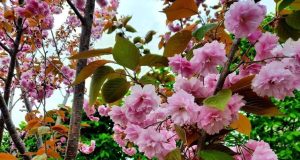 Как узнать, на что аллергия