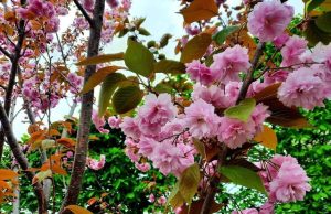 Как узнать, на что аллергия